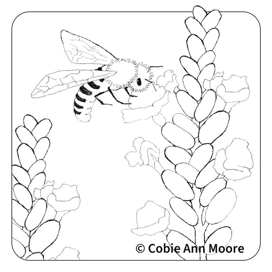 Busy Bee (Colour-In)