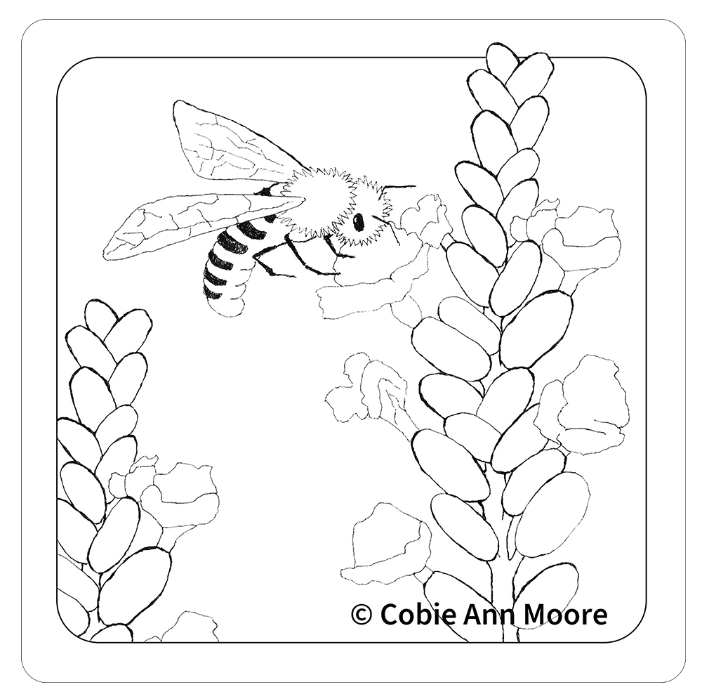 Busy Bee (Colour-In)