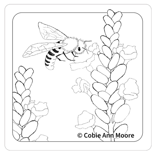 Busy Bee (Colour-In)