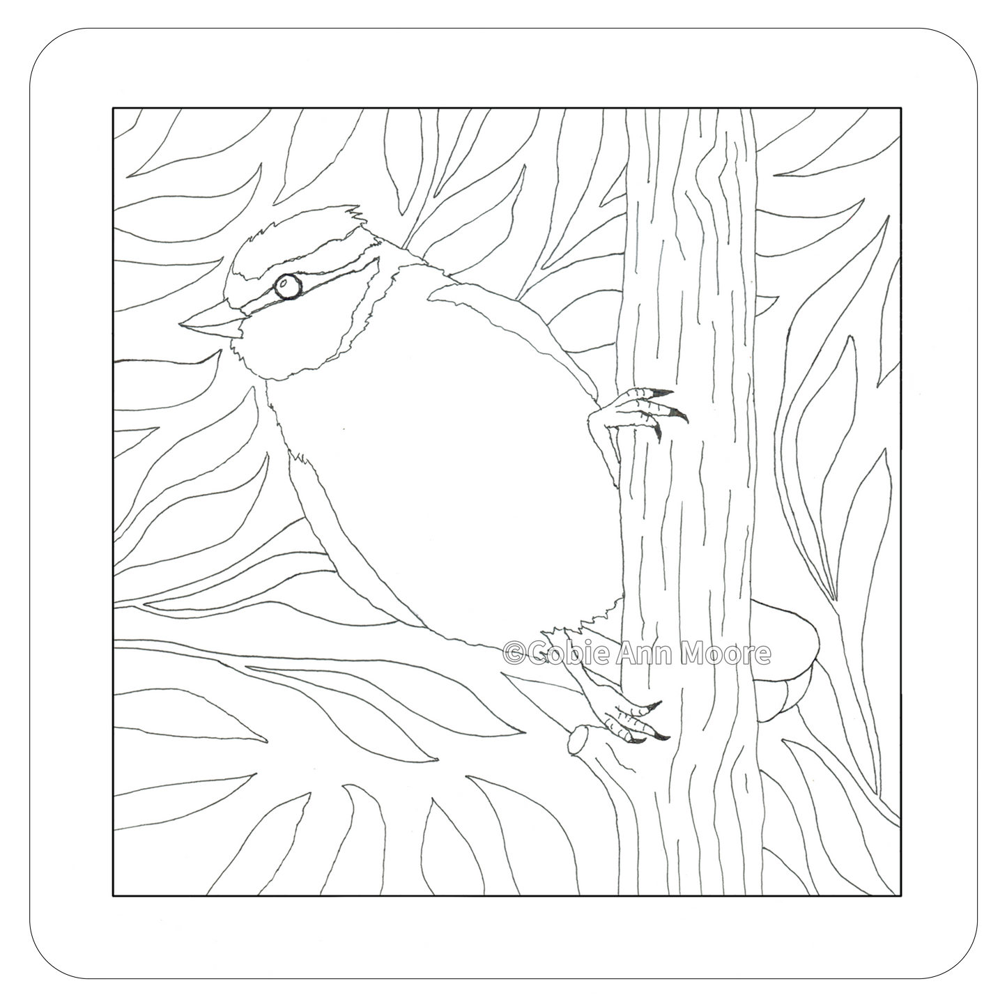 Blue Tit (Colour-In)