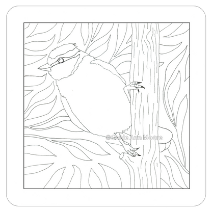Blue Tit (Colour-In)
