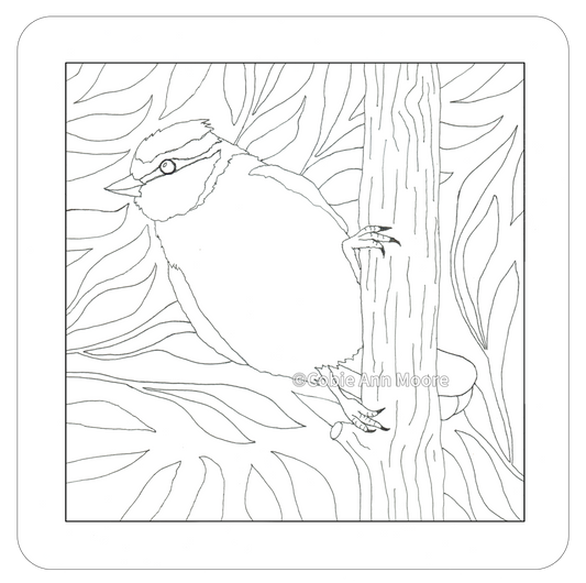 Blue Tit (Colour-In)