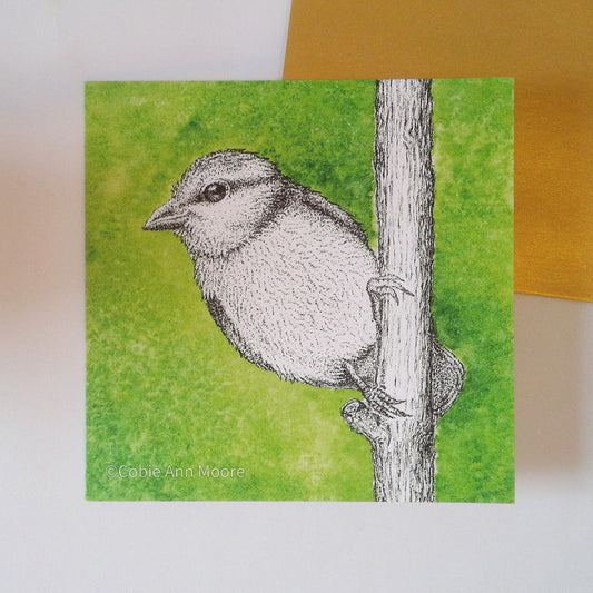 Blue Tit (Cards)