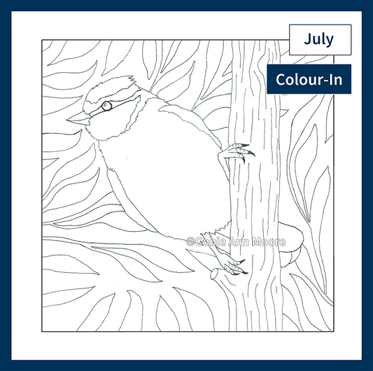 Colour-In Club