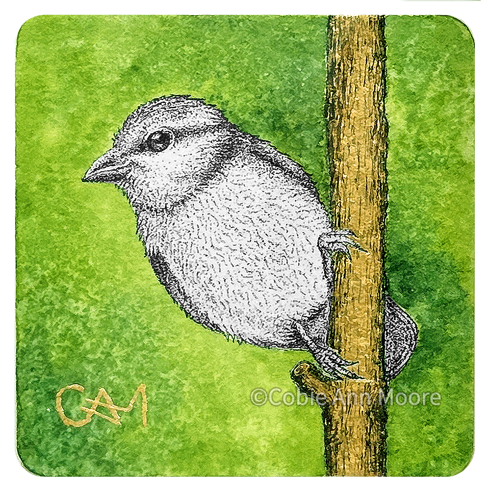 Blue Tit (Mini Print)