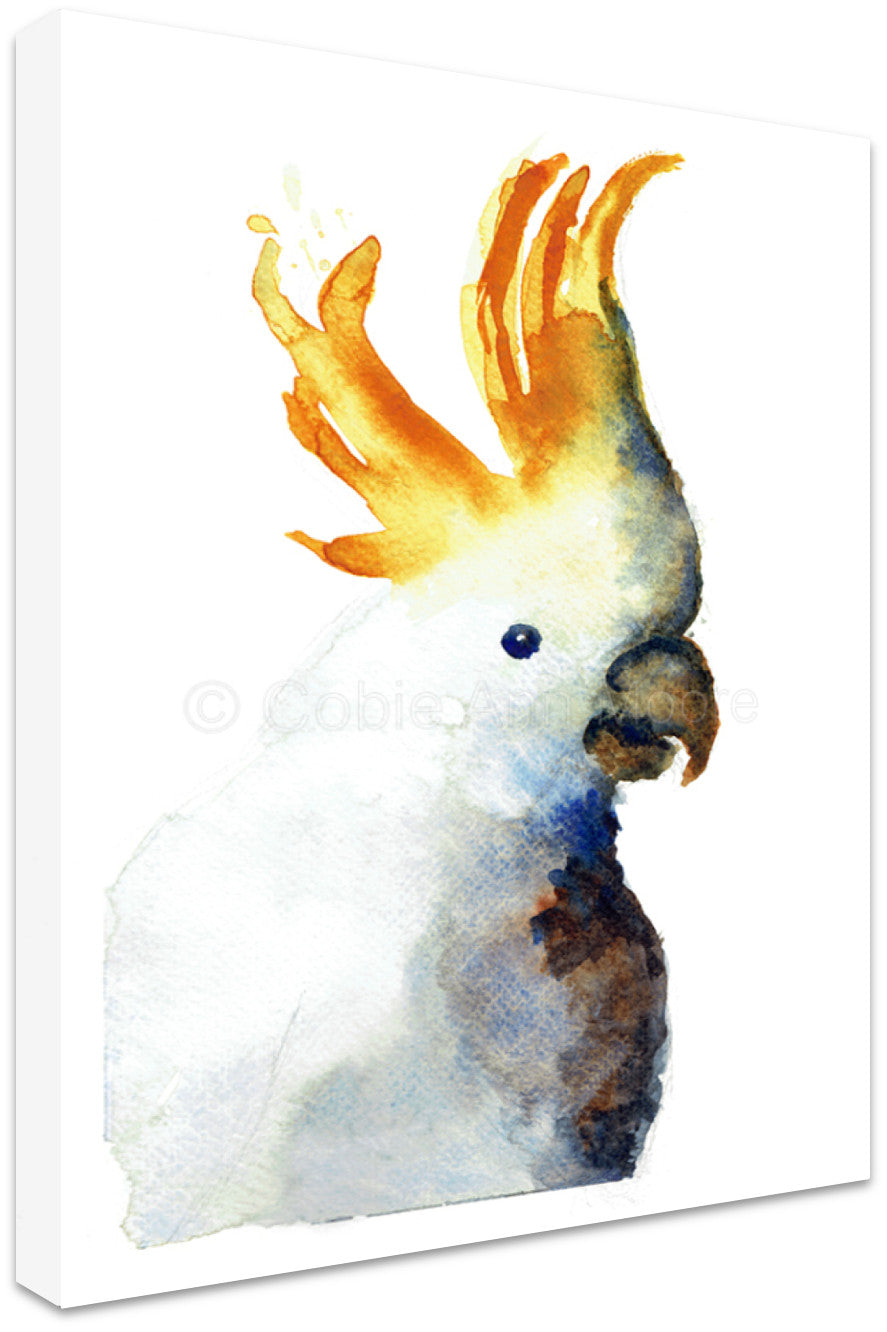 Cockatoo