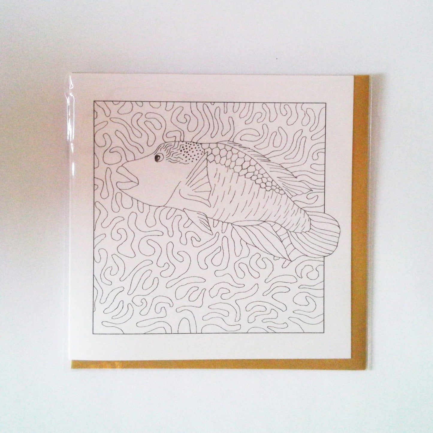 Māori Wrasse (Colour-In)