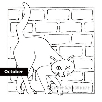 Colour-In Club