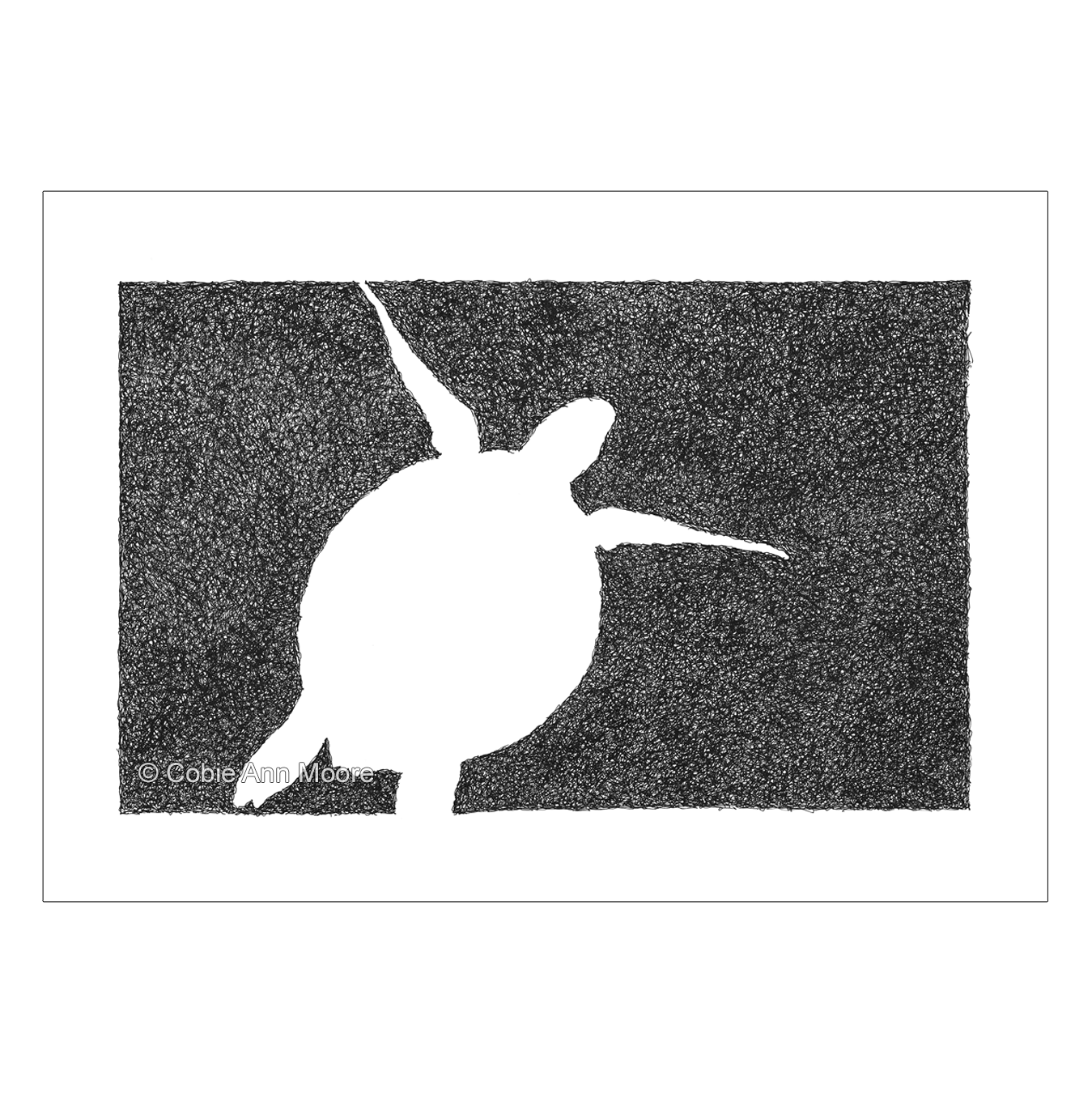 Absence of a Turtle