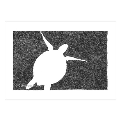 Absence of a Turtle