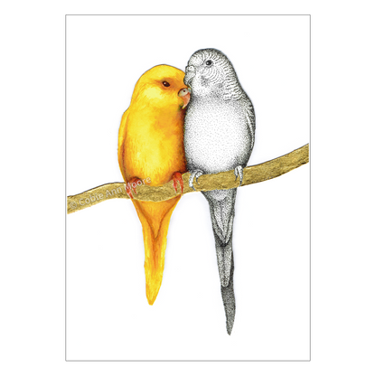 Yellow Budgie (Limited Edition)