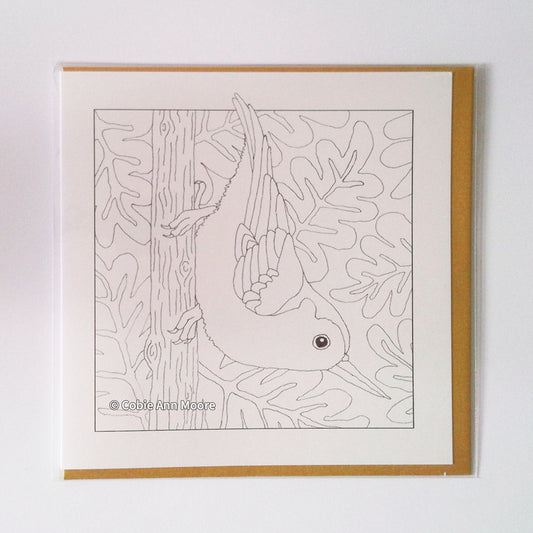 Nuthatch (Colour-In)
