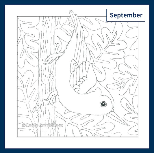 Colour-In Club