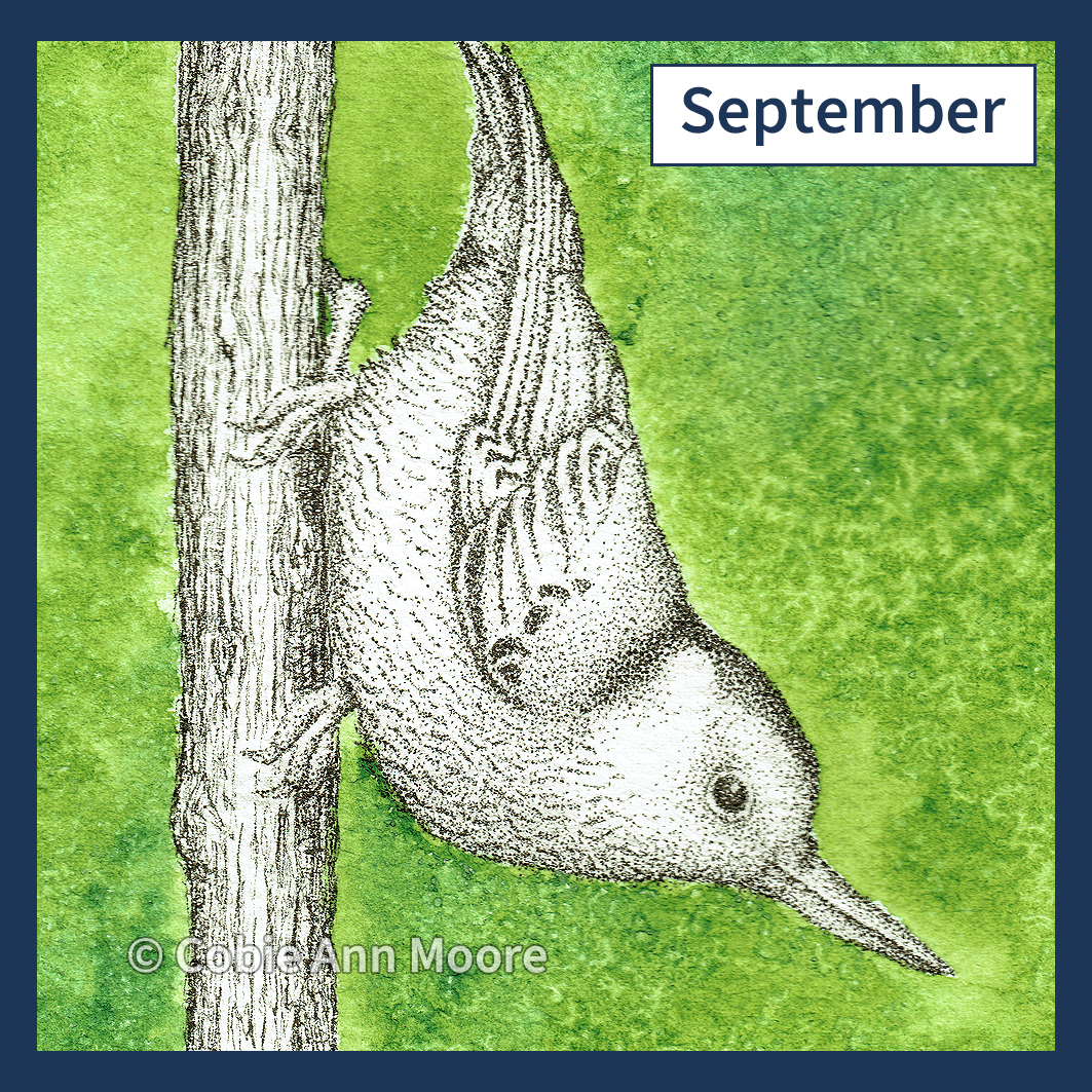 Greeting Card Club