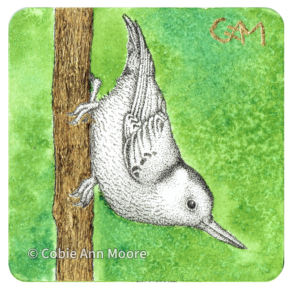 Nuthatch (Mini Print)