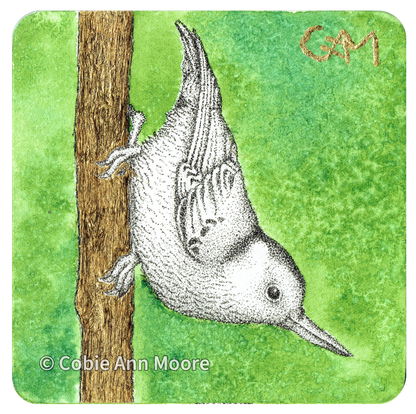Nuthatch (Mini Print)