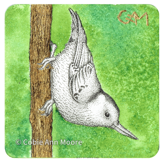 Nuthatch (Mini Print)