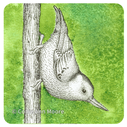 Nuthatch (Mini Print)