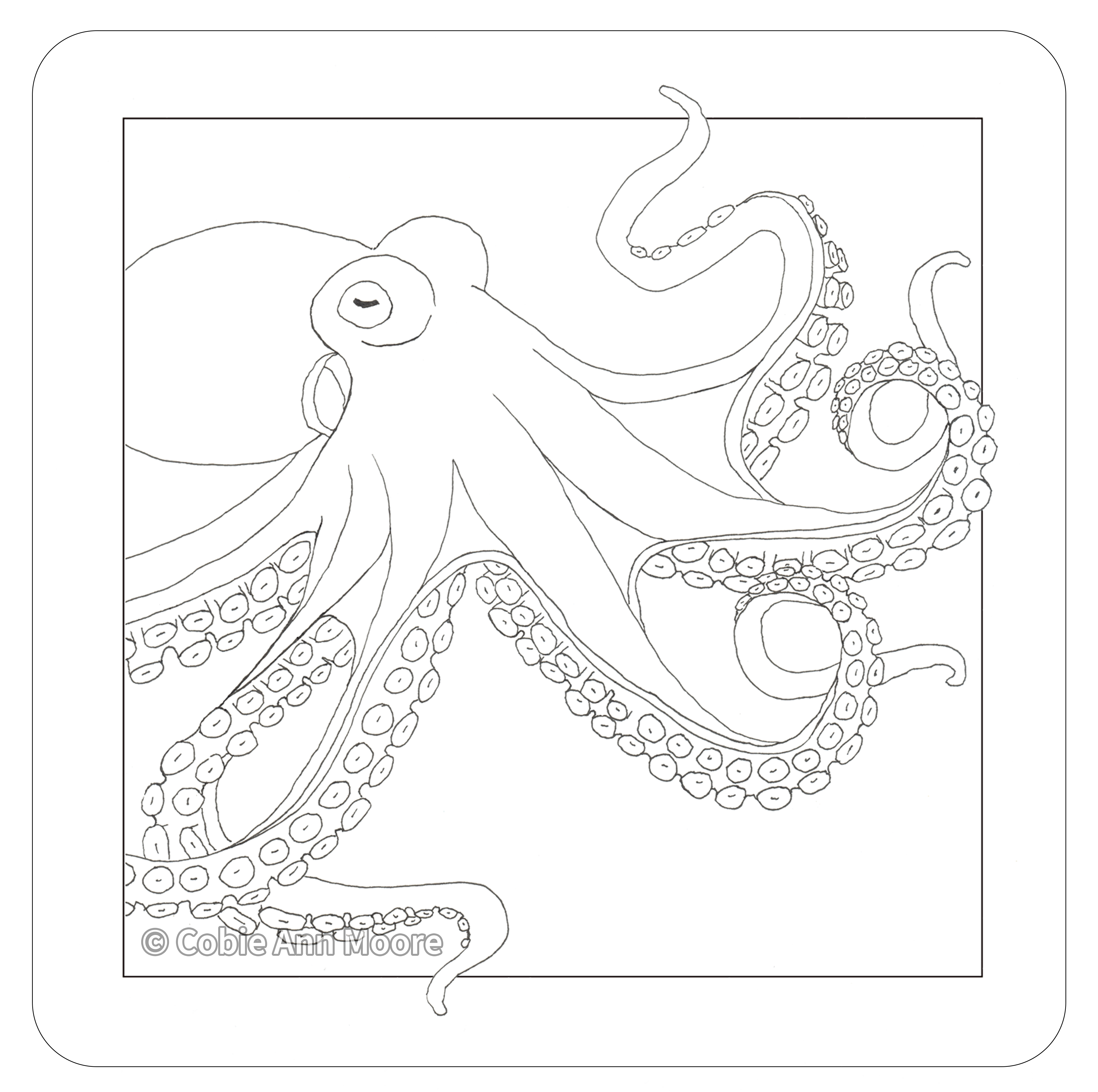 Octopus (Colour-In) – Cobie Ann Moore