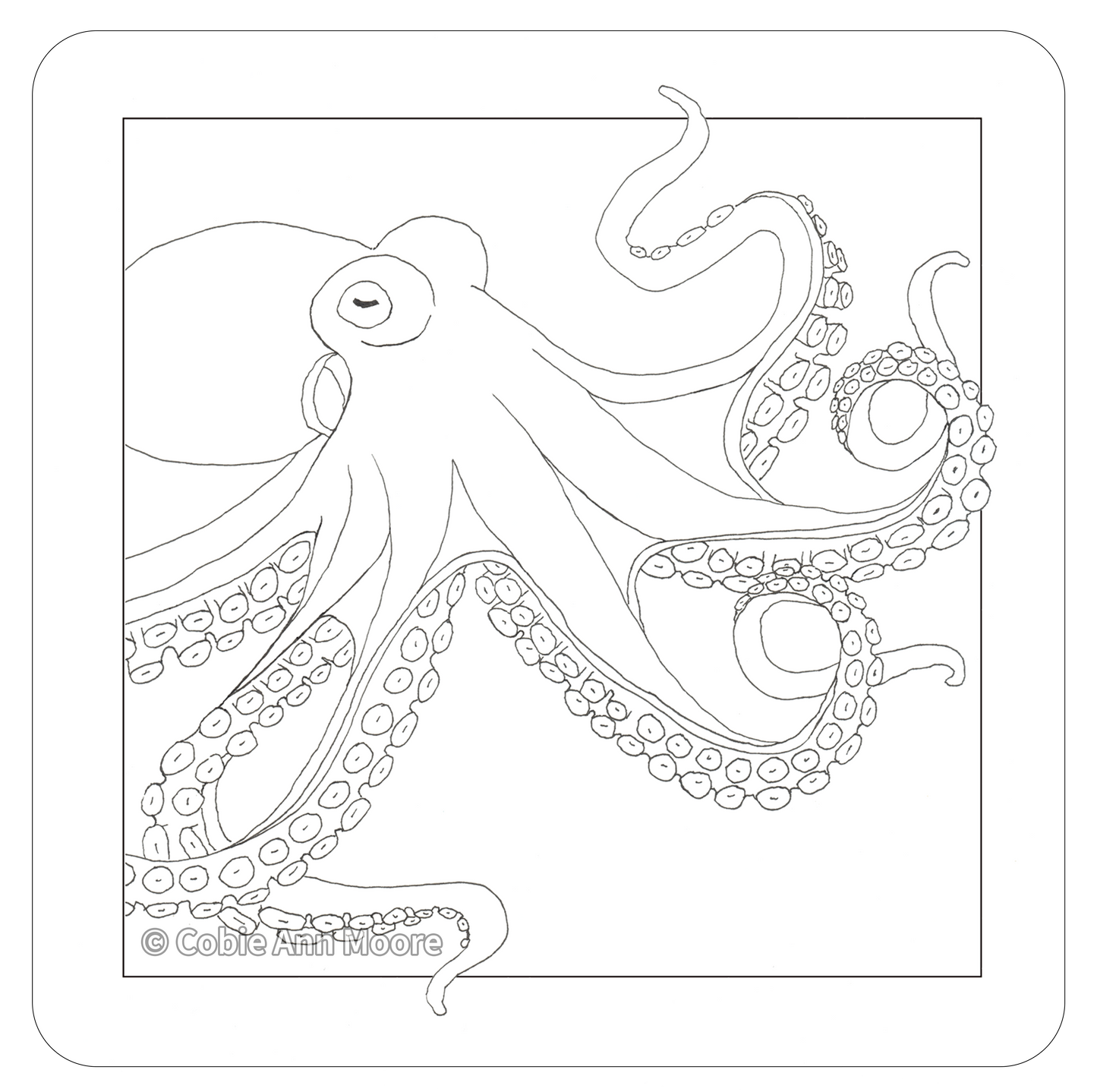 Octopus (Colour-In)