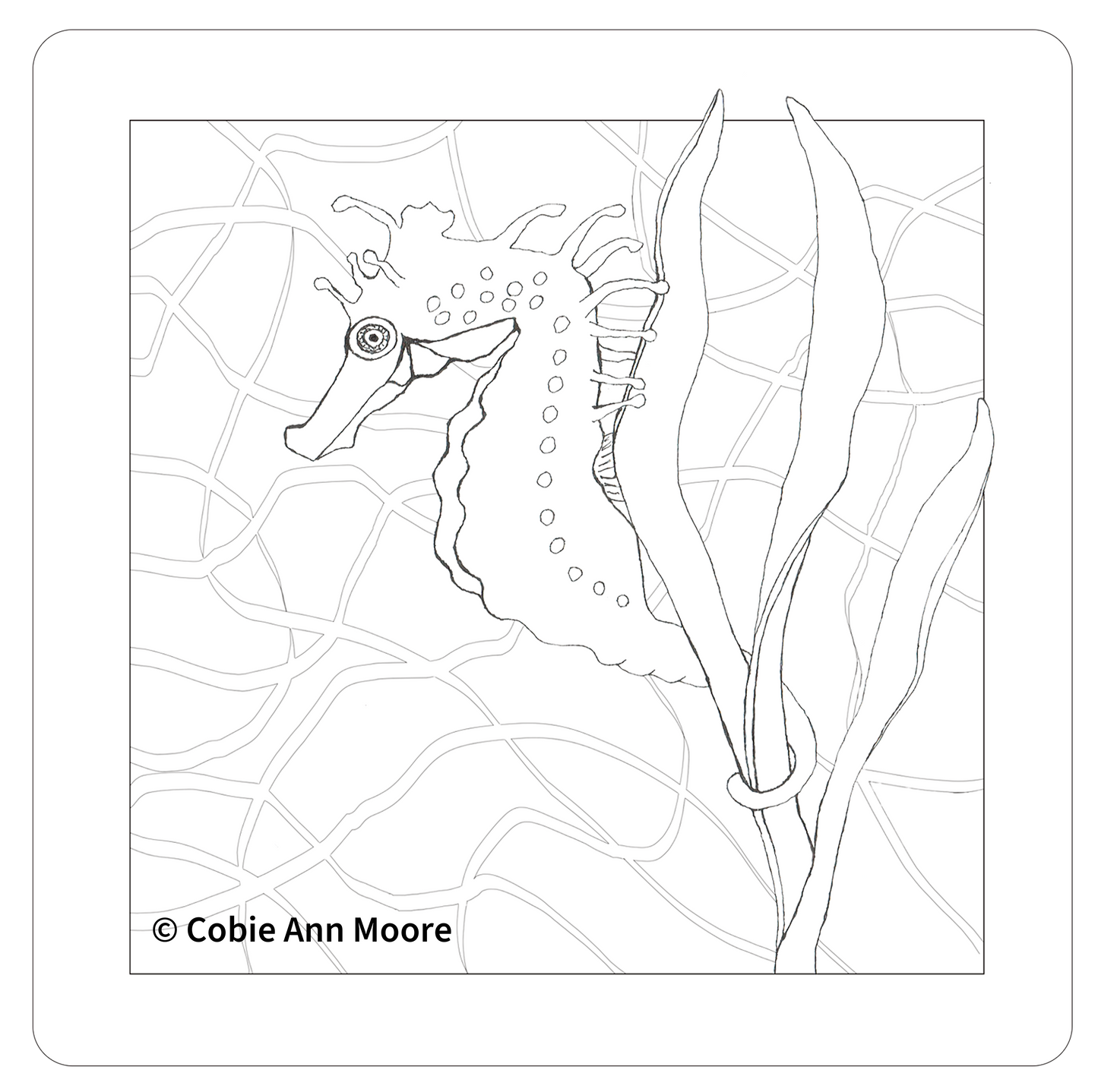 Seahorse (Colour-In)