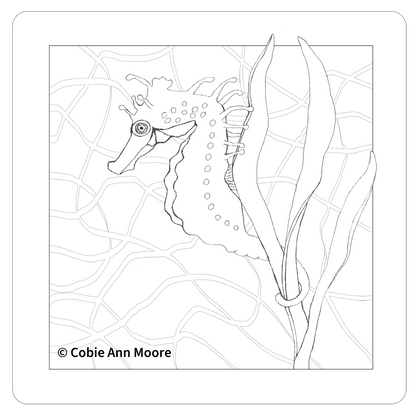 Seahorse (Colour-In)