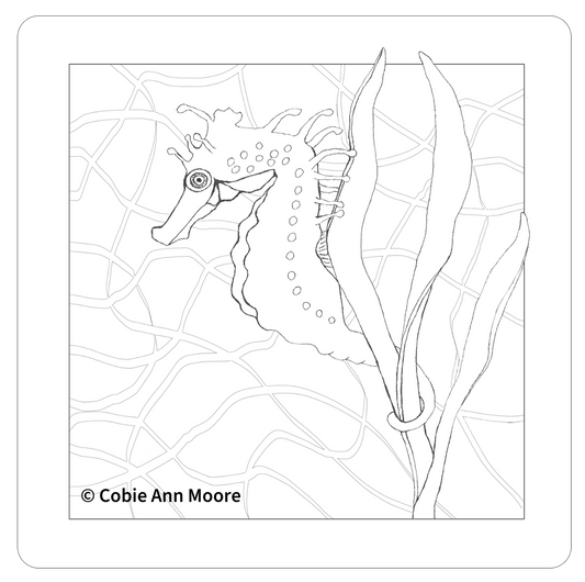 Seahorse (Colour-In)