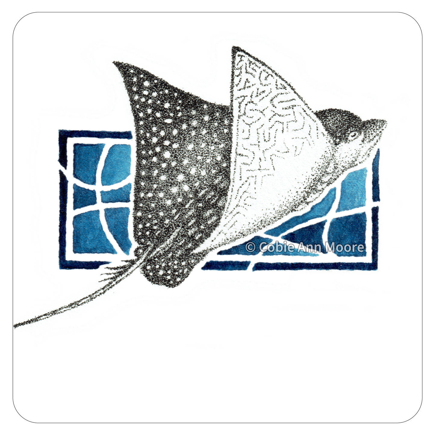 Stingray (Mini Print)