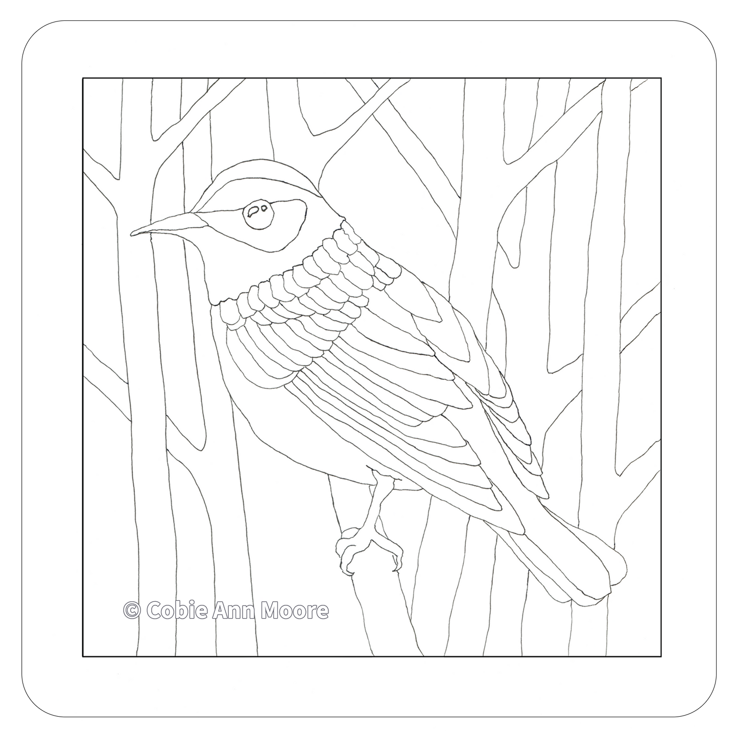 Warbler (Colour-In)
