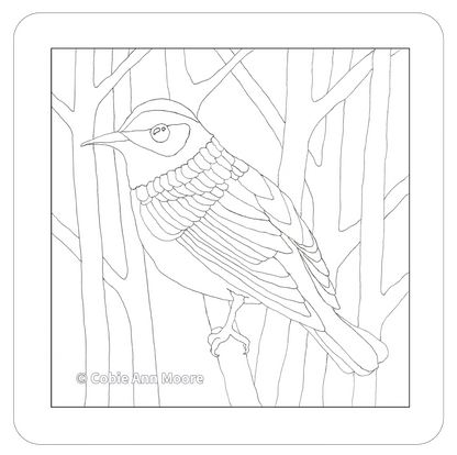 Warbler (Colour-In)