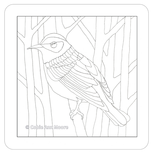 Warbler (Colour-In)