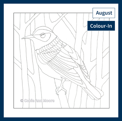 Colour-In Club