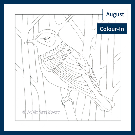 Colour-In Club