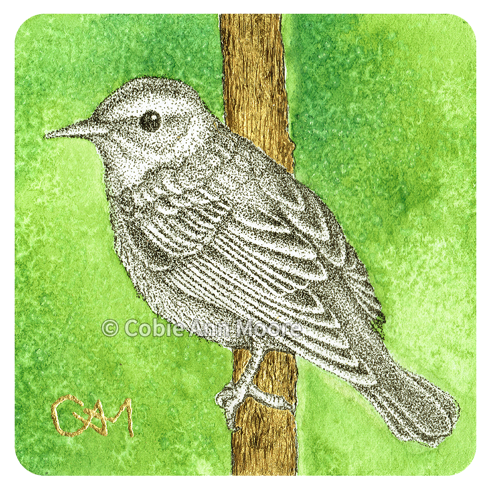 Warbler (Mini Print)
