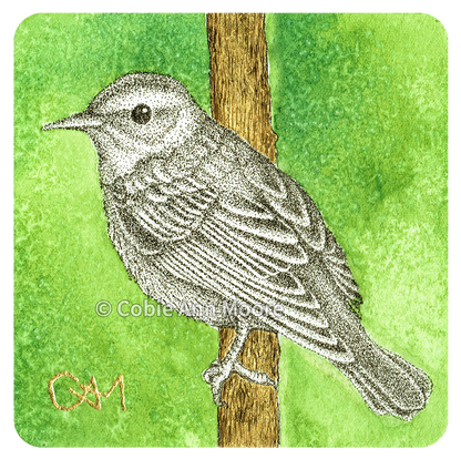 Warbler (Mini Print)