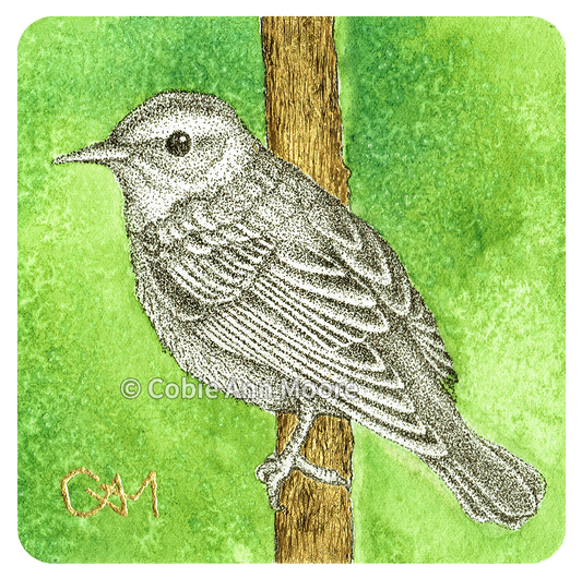 Warbler (Mini Print)