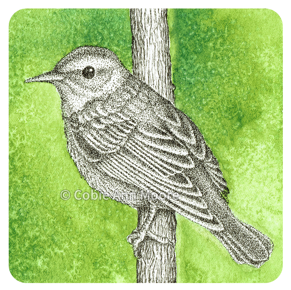 Warbler (Mini Print)