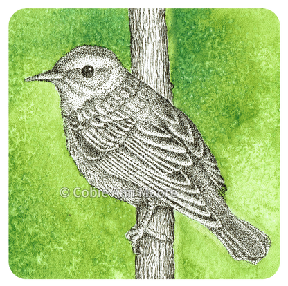 Warbler (Mini Print)