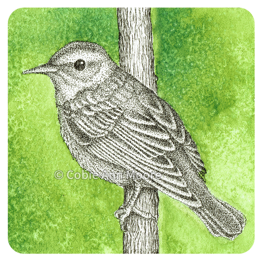 Warbler (Mini Print)