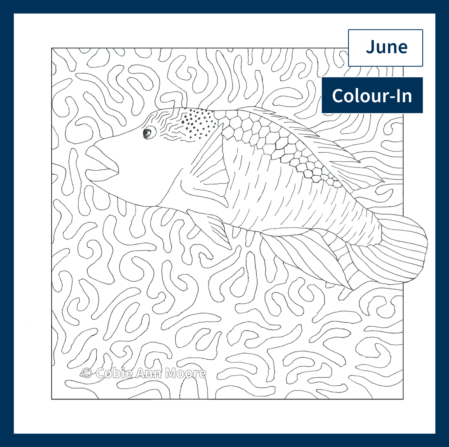 Colour-In Club
