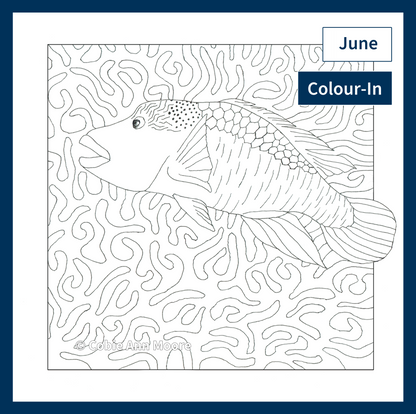 Colour-In Club