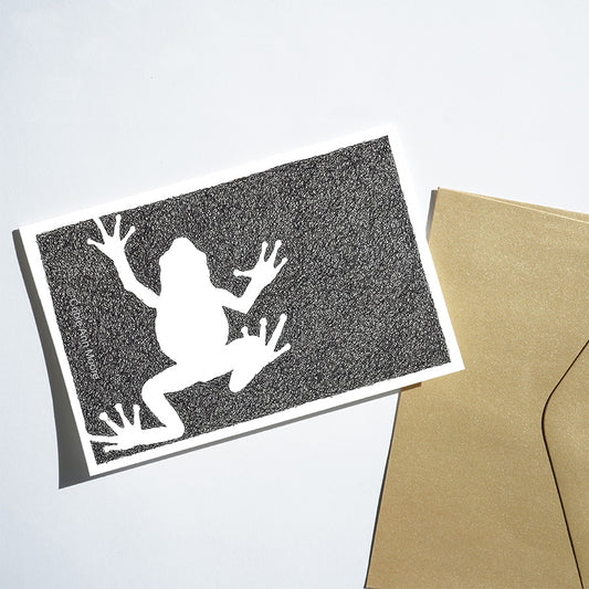 Absence of a Frog (Cards)