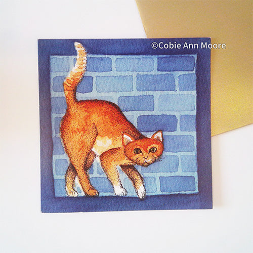 Curious Cat (Cards)
