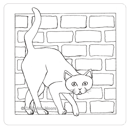 Curious Cat (Colour-In)