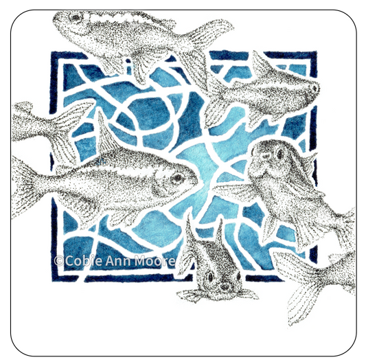 Neon Tetras (Mini Print)